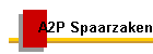 A2P Spaarzaken